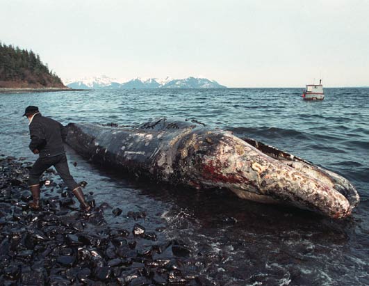 Exxon Valdez oil spill victim
